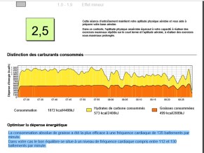 Brulons les graisses